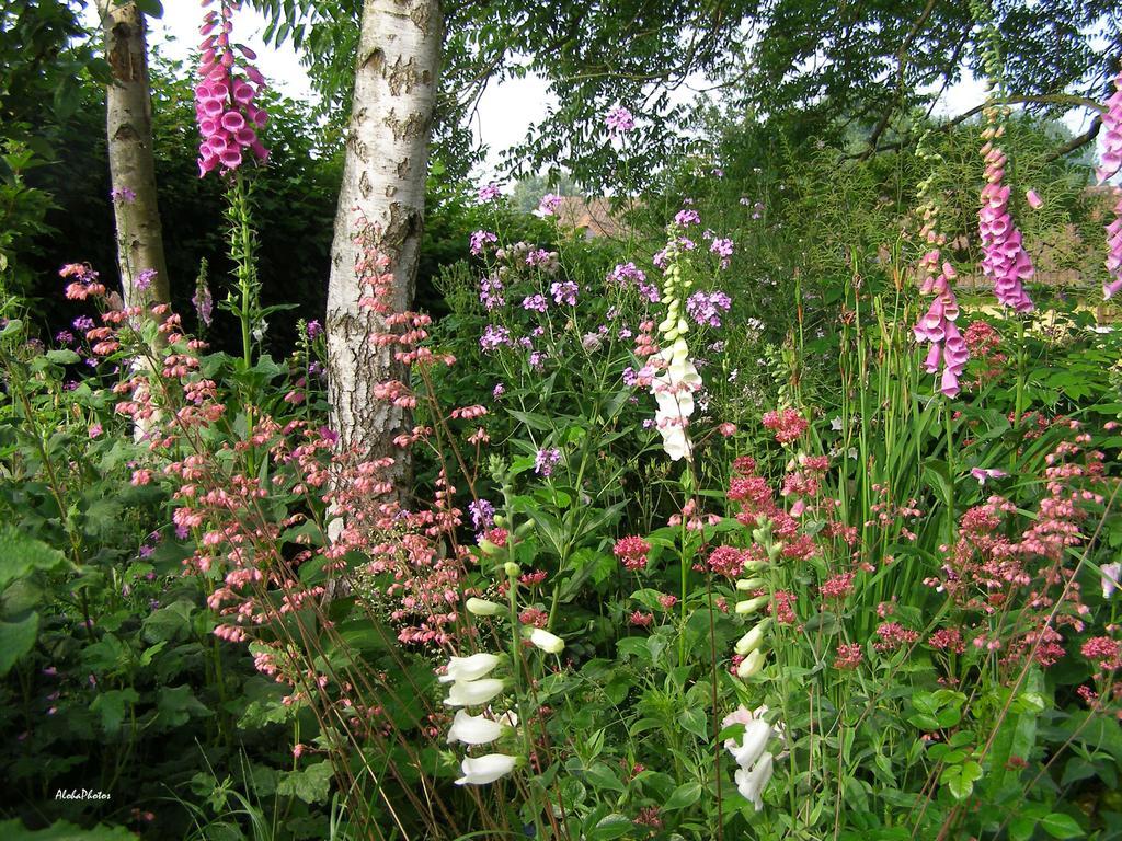 Gite Des Hortillonnages Camon  Buitenkant foto