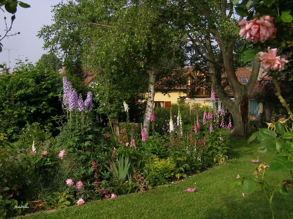 Gite Des Hortillonnages Camon  Buitenkant foto